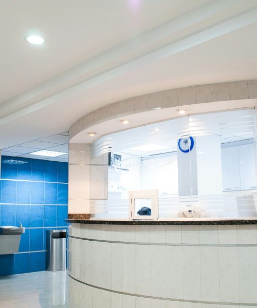 martha-dominguez-de-gouveia-nMyM7fxpokE-unsplash